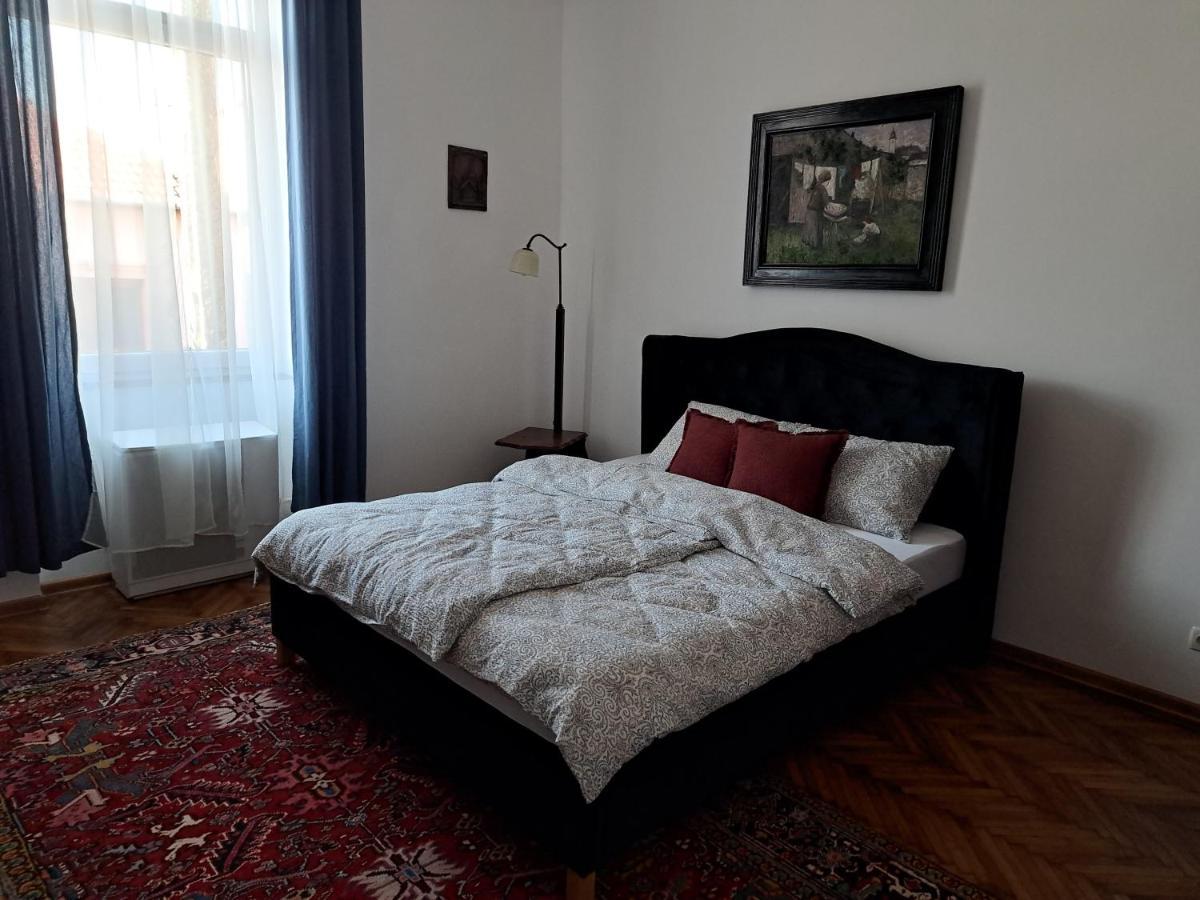 Weisz Apartment-City Center-Free Private Parking,Wifi,Ac Nagykároly Kültér fotó