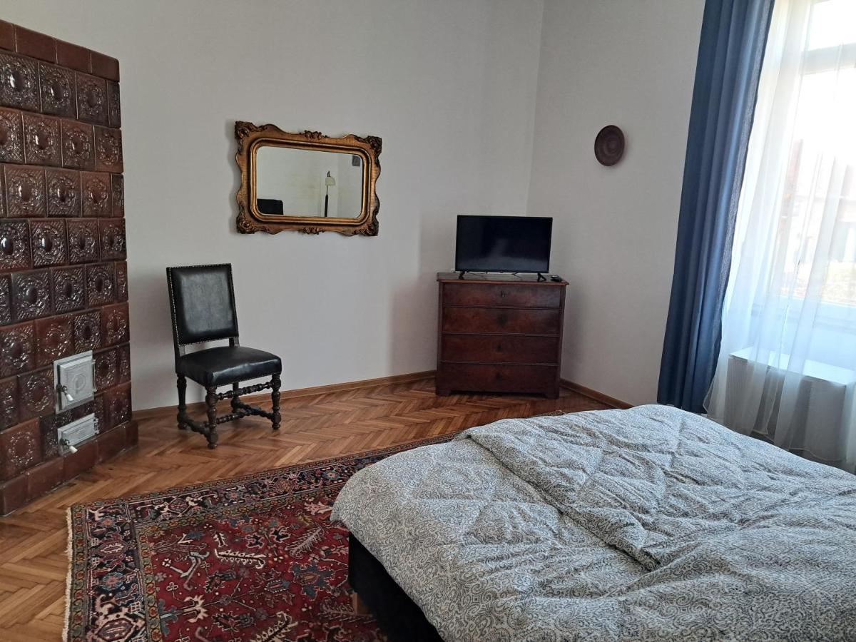 Weisz Apartment-City Center-Free Private Parking,Wifi,Ac Nagykároly Kültér fotó