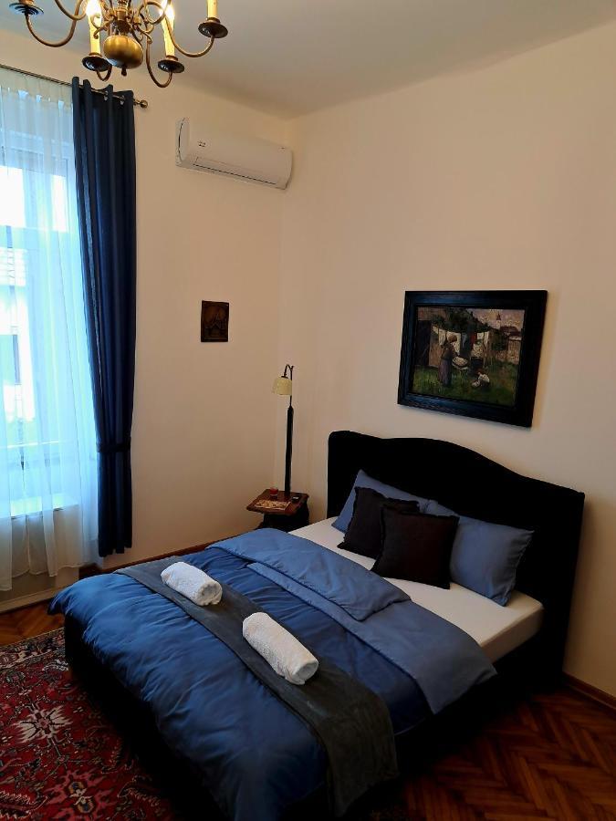 Weisz Apartment-City Center-Free Private Parking,Wifi,Ac Nagykároly Kültér fotó